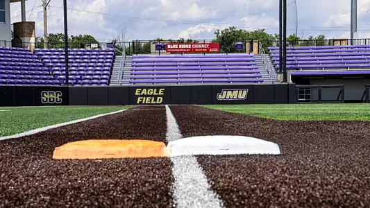 VMP Backstop and base