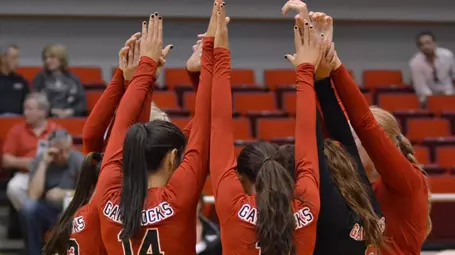 VB team