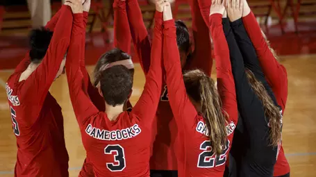 Volleyball team