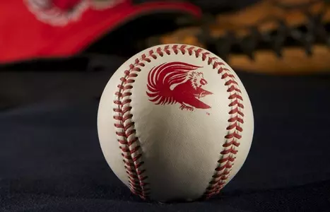 baseball