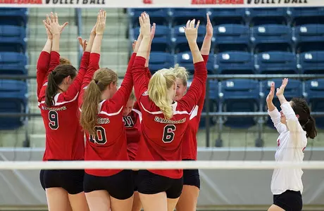 VB Team