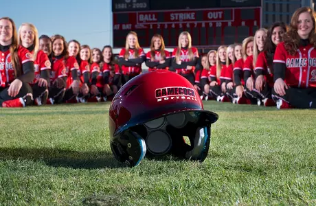 Softball Helmet