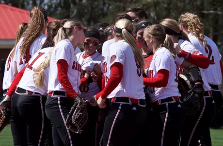 Softball Huddle
