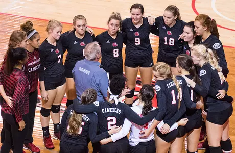 VB Team