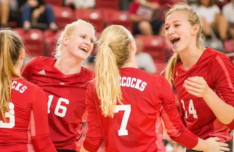 VB Team