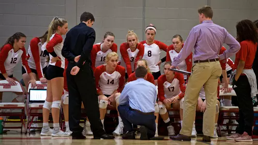 VB Team