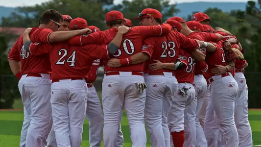 Baseball Huddle