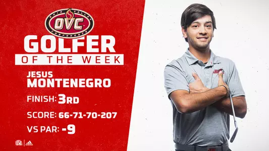 Jesus Montenegro