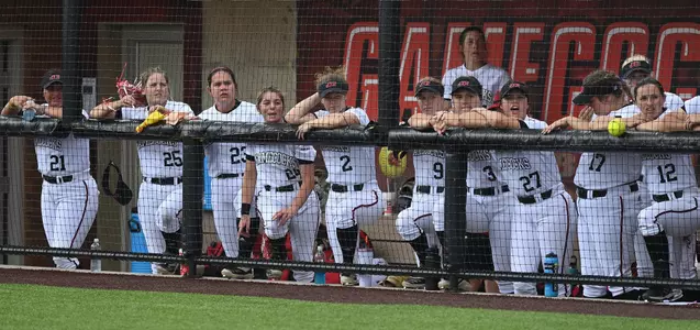 Softball Team