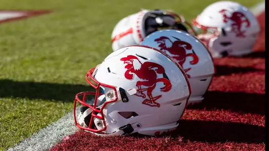 buffalo university football helmets Bills NFL Collectible Mini Helmet|Picture Inside|FANZ Collectibles wear plate LOOK: The new Buffalo Bulls