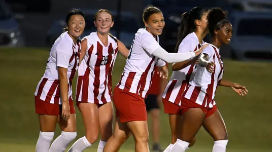 Soccer Goal Celebration