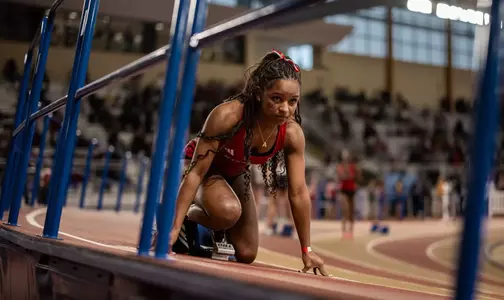 T&F