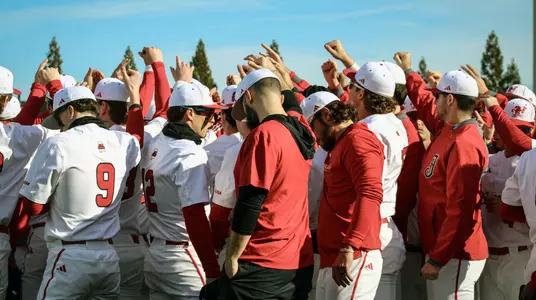 Baseball Huddle