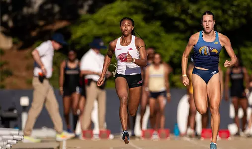 T&F