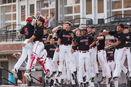 Baseball HR Celebration
