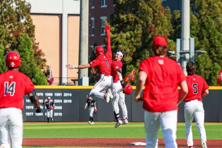 Baseball Celebration