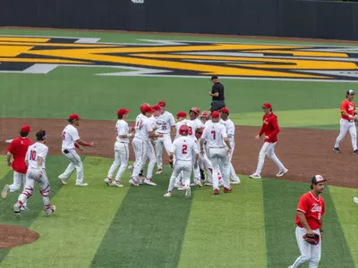 Baseball Celebration