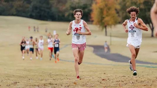 Rice-XC