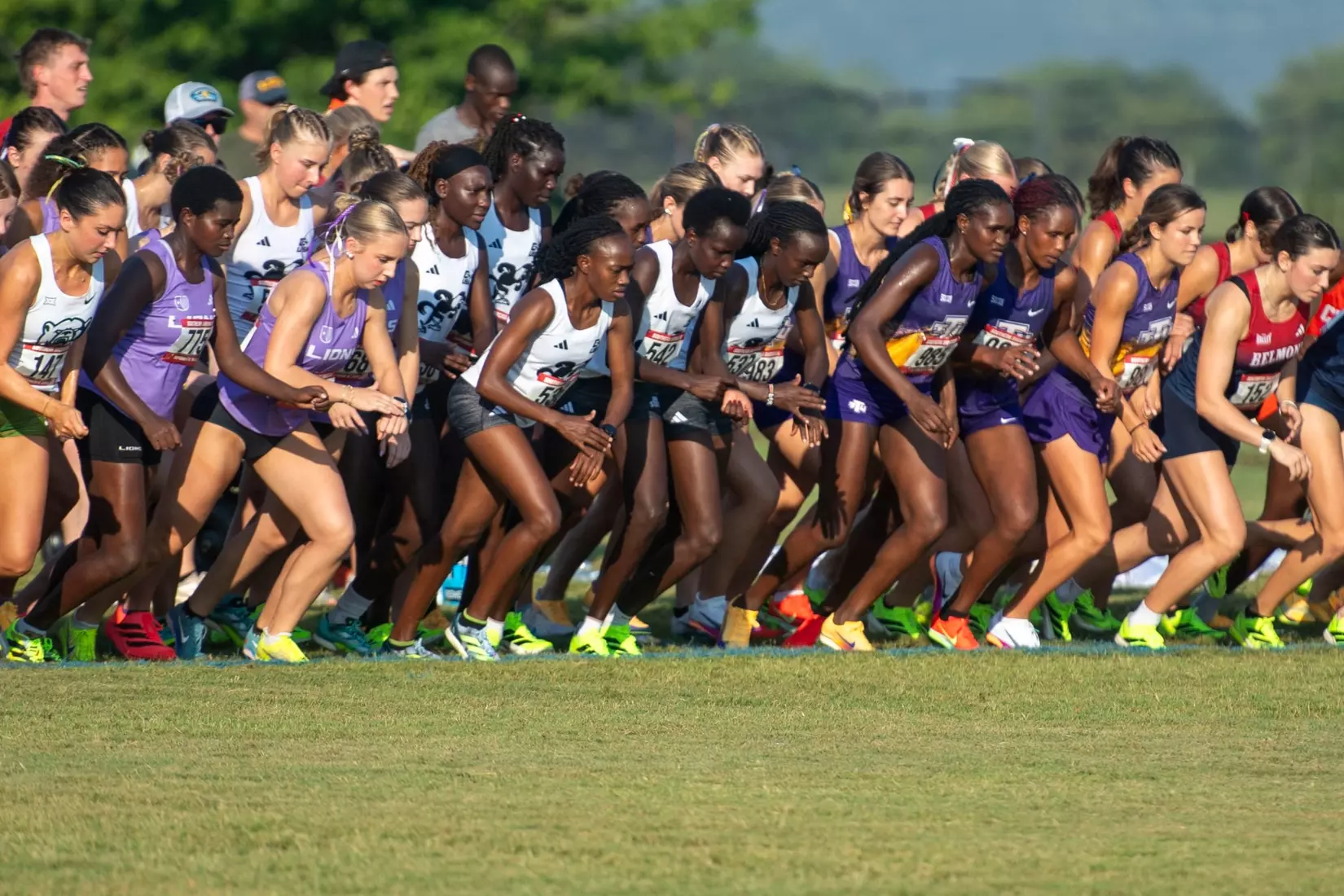 xc
