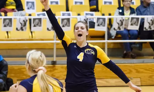 vball_action_nowak02