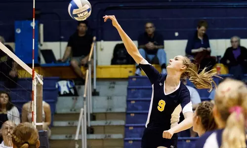 vball_action_reikow