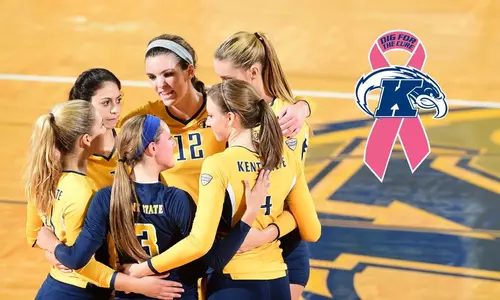 vball_dig_for_the_cure_2014