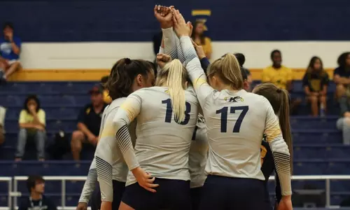 vball_action_team_huddle31