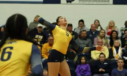vball_action_mantas_14