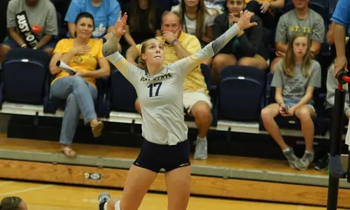 vball_action_bitting_26