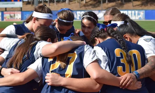 sball_action_battery_01