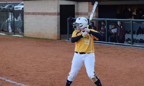 sball_action_cader_01