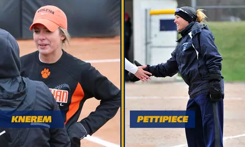 sball_assistants_hired_2016a