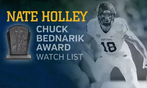 Holley Bednarik Award