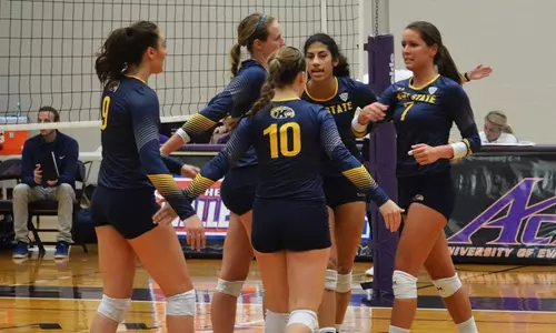 vball_action_team31