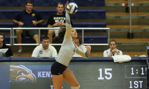 vball_action_mantas_11