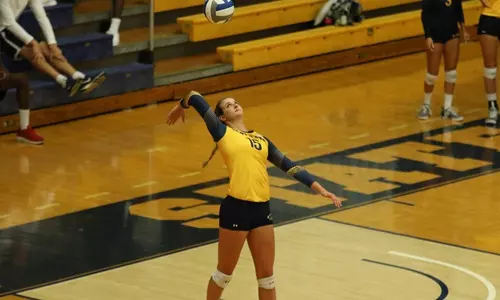 vball_action_gerdeman_21