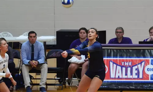 vball_action_mantas10