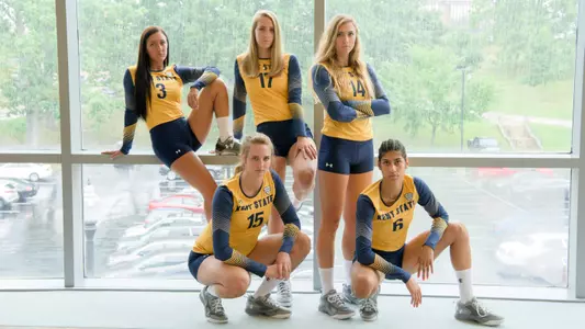 vball_seniors_2017