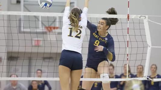 vball_action_mantas_14