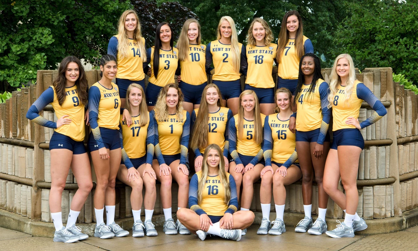 vball_team_photo_2017