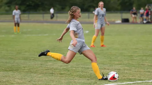 wsoc_brots1