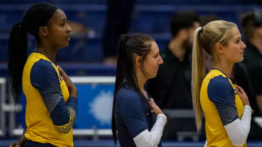 vball_action_team_37