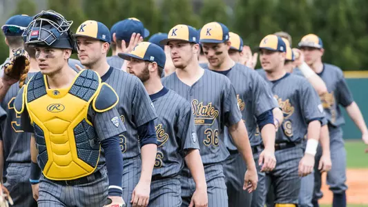 Baseball Walk-On Tryout Release