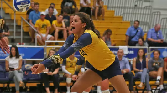 vball_action_ellison_01