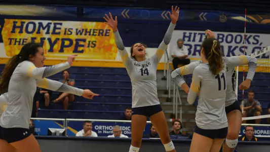 vball_action_ellison_02