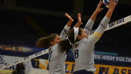 vball_action_team_39