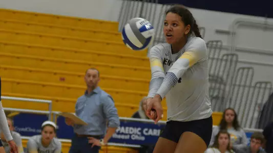vball_action_ellison_04