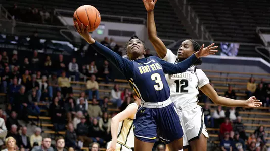 wbb_action_dingle_12