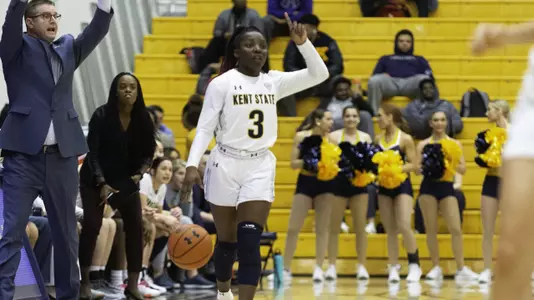 wbb_action_dingle_18