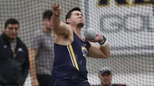 mitf_action_demaline02